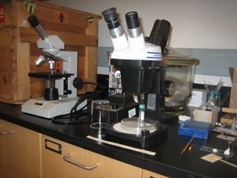 microscopes