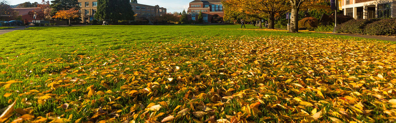 University of Portland