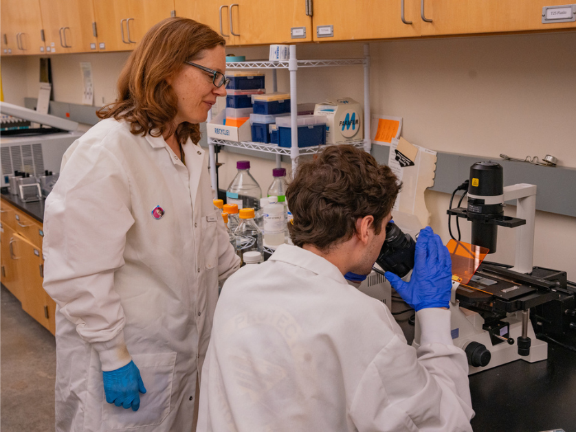 A student works with a professor in a laboratory