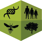 biomath logo