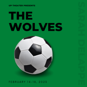 A soccer ball on a green background with the words The Wolves above