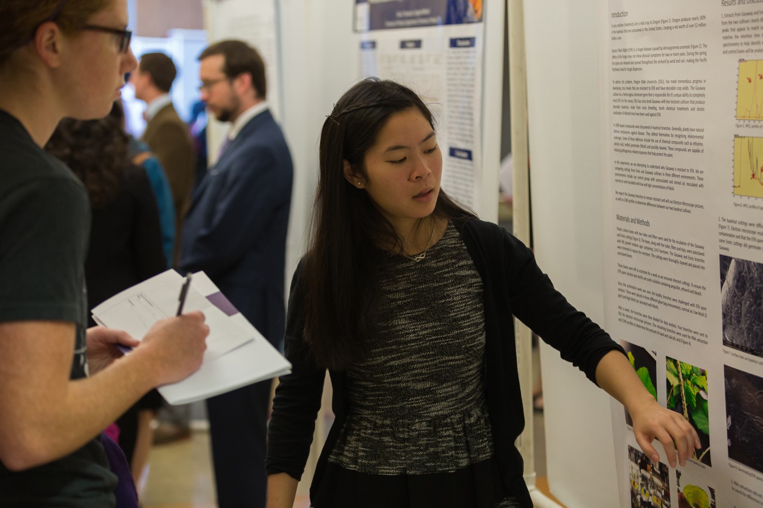 A person giving a talk about a poster at a fair.