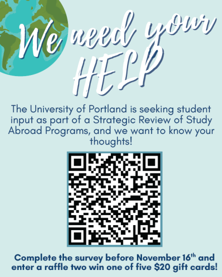 Strategic Review of Study Abroad Programs QR Code