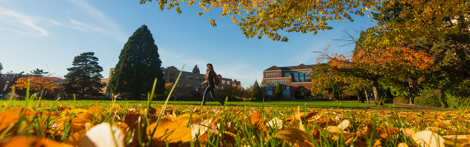 Autumn leaves and the Bell Tower